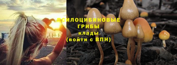 СК Арсеньев