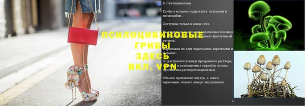 соль курить ск Алексеевка