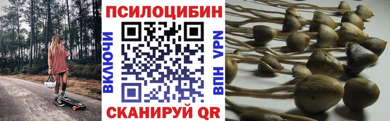 купить   Нижняя Салда  Псилоцибиновые грибы мицелий 